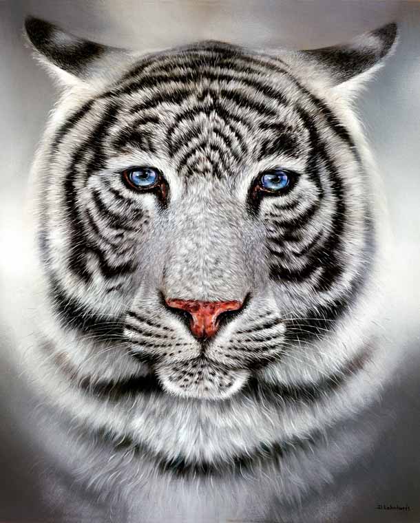 White Tiger